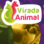 Virada Animal – A maior festa de adoção da cidade